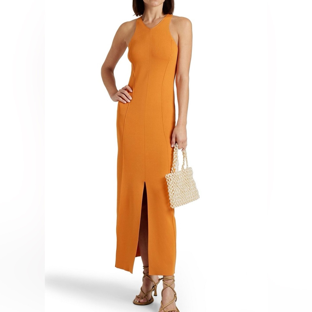NWOT Nanushka Maxi Dress